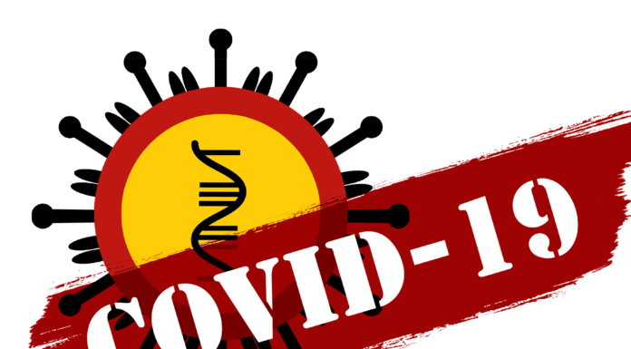 covid 19 4855688 1920 696x385