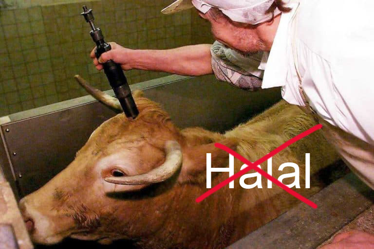 Seine-et-Marne : l’abattage sans étourdissement suspendu dans cinq établissements halals etourdissement