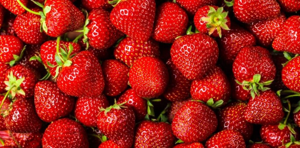 Des aliments sans matières premières fraises 3 1068x529