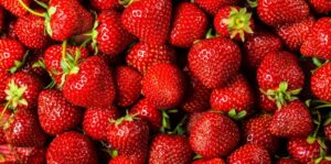 fraises 3 1068x529