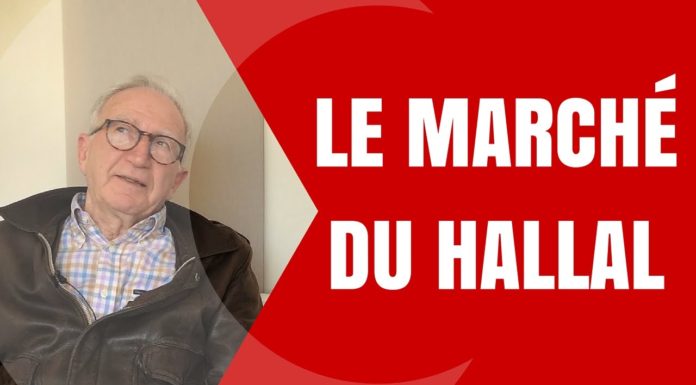 maxresdefault 1 696x385